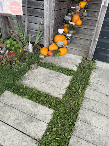 Comentarii opinii despre Gostilna in hotel Kunst