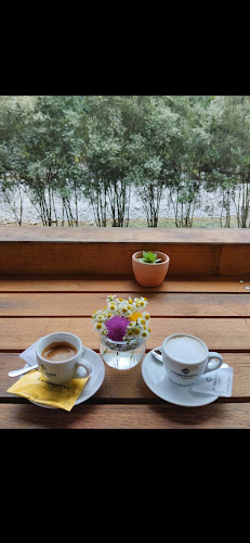 Opinii despre Bar Tminka în Tolmin - Gastronomija in gostinstvo