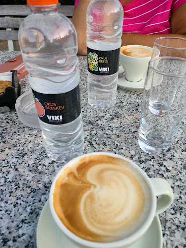 Opinii despre Okrepčevalnica Viki burger în Črni Kal - Gastronomija in gostinstvo