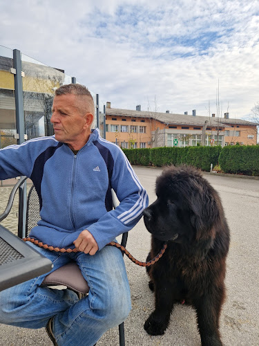 Comentarii opinii despre Kava bar peron