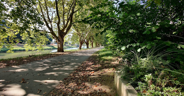 Prežihova ulica 9, 3000 Celje