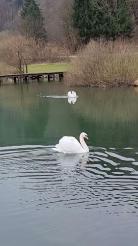 Comentarii opinii despre Gostilnica Jezero