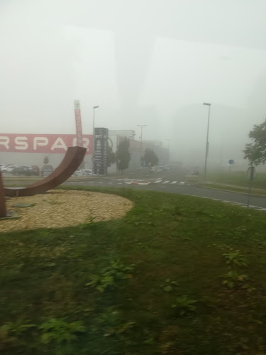 Comentarii opinii despre Gostilna Baranja, Metka Legen Baranja S.P