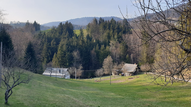 Gostilna Metka - Gastronomija in gostinstvo