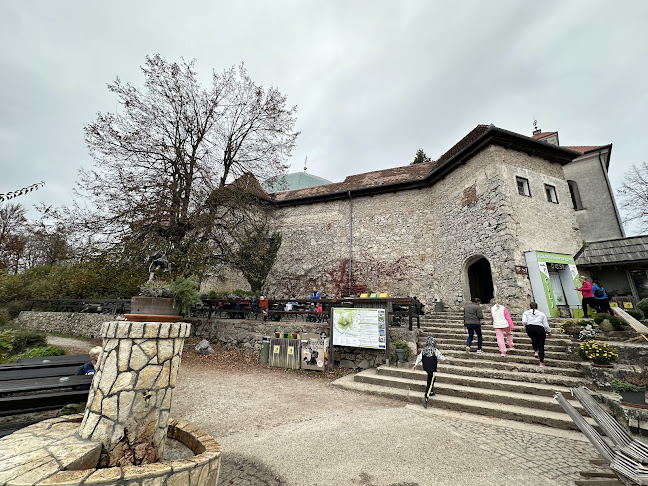 Opinii despre Gostilna Košir în Ljubljana - Gastronomija in gostinstvo