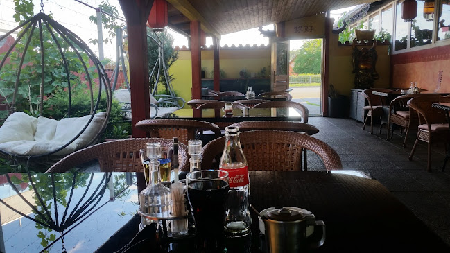 Comentarii opinii despre Restavracija Azija, XIANXING d.o.o.