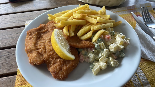 Opinii despre Pizzerija in gostilna 'Na Placu' în Vipava - Gastronomija in gostinstvo