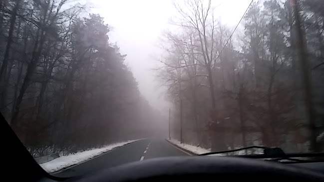 Vinogradništvo Winery Ramšak