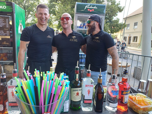 Ulica talcev 3, 3310 Žalec