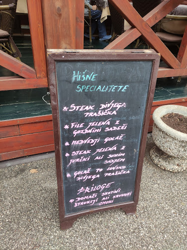 Comentarii opinii despre Gostilnica Falkenau