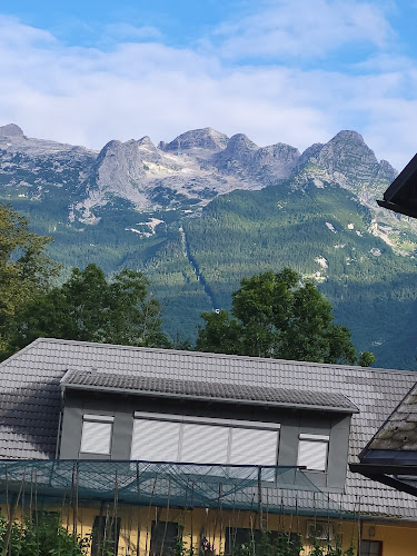 Comentarii opinii despre Gostišce Vančar