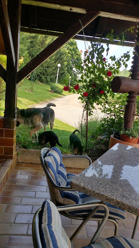 Comentarii opinii despre Gostišče s prenočišči Pohle