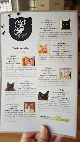 Hrenova ulica 19, 1000 Ljubljana, Slovenija