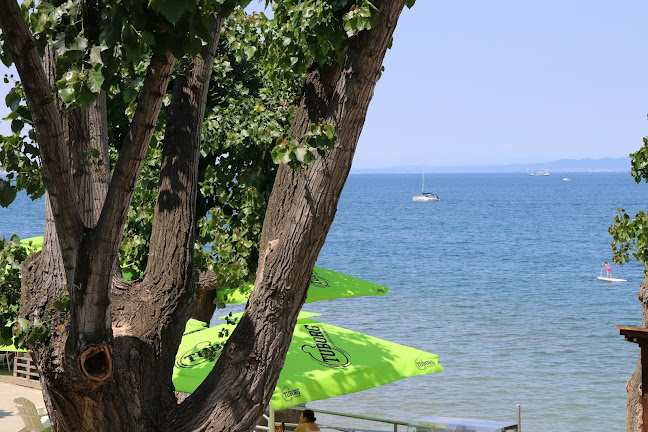 Opinii despre La Barracuda beach bar în Izola - Gastronomija in gostinstvo