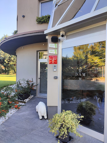 DAM boutique hotel & restaurant