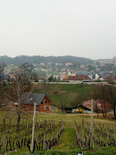 Cesta na Bellevue 1, 3250 Rogaška Slatina