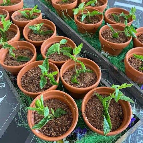 Restavracija James' place