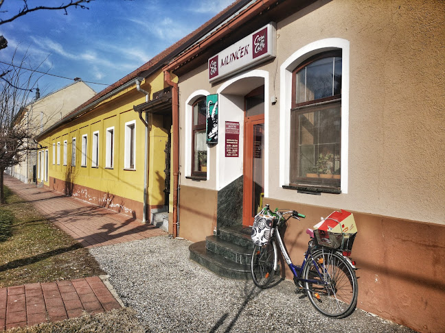 Kranjčeva ulica 1, 9220 Lendava