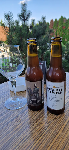 Comentarii opinii despre BAJS BURGER