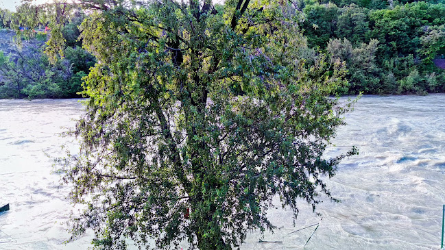 Comentarii opinii despre Čolnarna