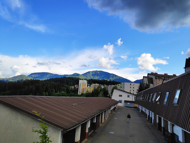 Javornik 66, 2390 Ravne na Koroškem