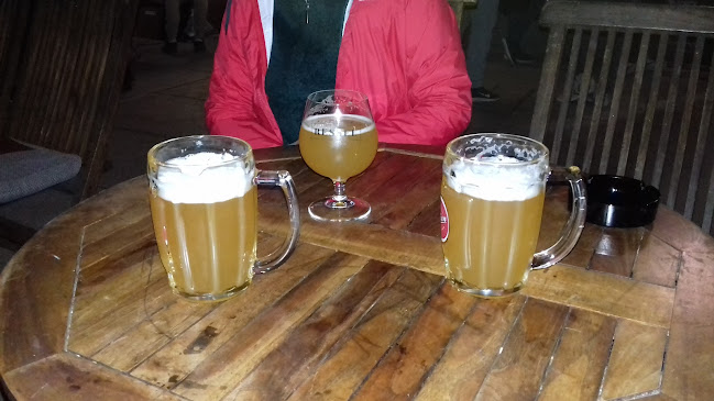 Opekarska 1 (Pod Prulskim mostom), Opekarska cesta 1, 1000 Ljubljana