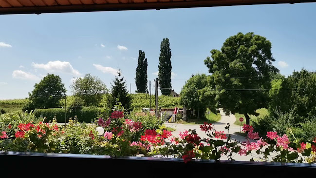 Opinii despre Gostilna, picerija in pivovarna Kostanj în Gornja Radgona - Gastronomija in gostinstvo