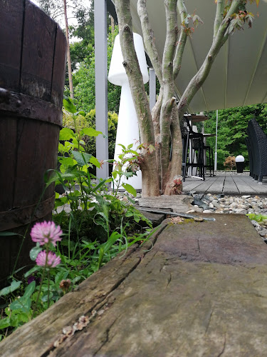 Kavarna Črni Kos - Gastronomija in gostinstvo