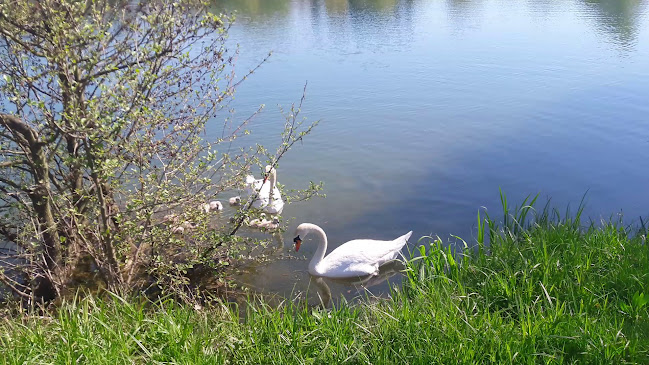 Ribiški dom Velenje nov najemnik od 2023 - Velenje