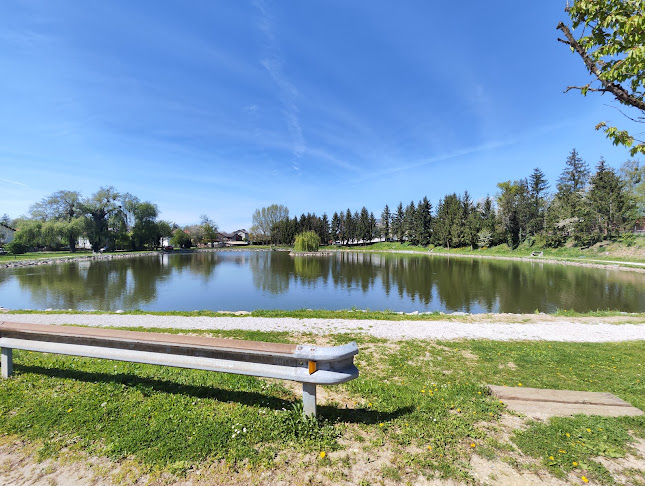 Bar ribnik, Rado Antolič s.p. - Ormož