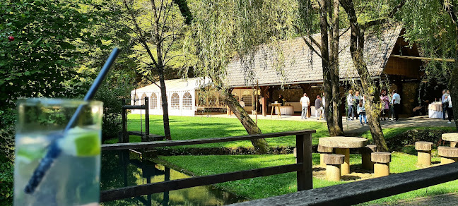 Comentarii opinii despre Mlin Žagar