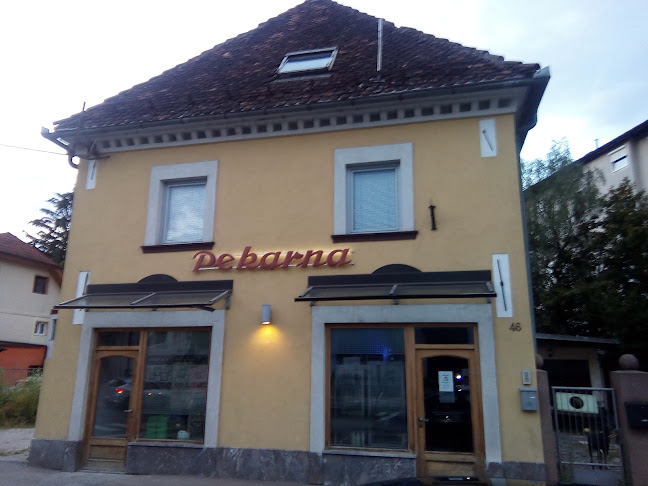 Viška cesta 46, 1000 Ljubljana