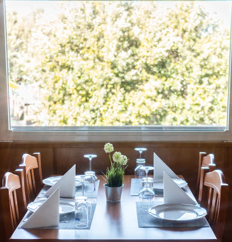 Taverna Belo Jadro d.o.o. - Koper