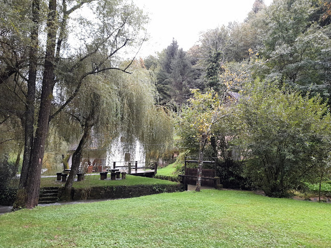 Mlin Žagar - Novo mesto