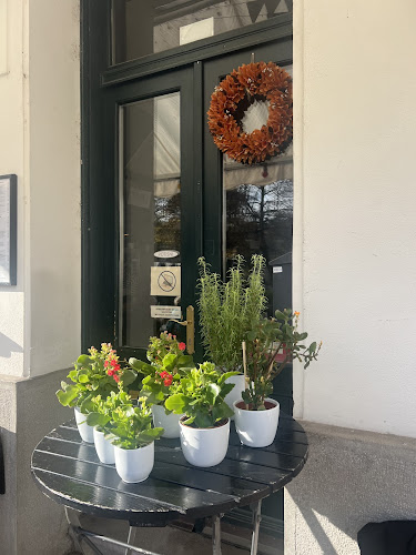 Opinii despre Kava Bar Tam Tam în Ljubljana - Gastronomija in gostinstvo