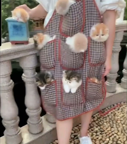 Kavarna Mango - Gastronomija in gostinstvo