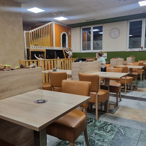 Opinii despre Center okusov în Slovenske Konjice - Gastronomija in gostinstvo