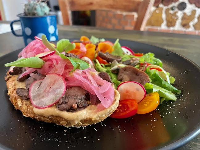 Terramystica Adventures