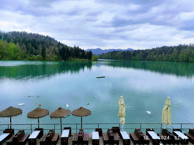 Gostišče Jezero - Gastronomija in gostinstvo