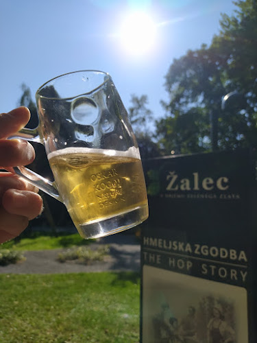 Fontana piva Žalec - Gastronomija in gostinstvo
