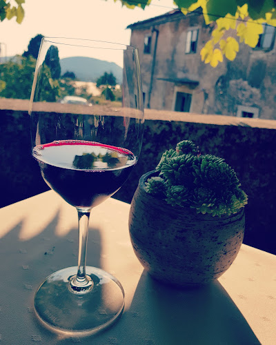 Rodik 51, 6240 Kozina