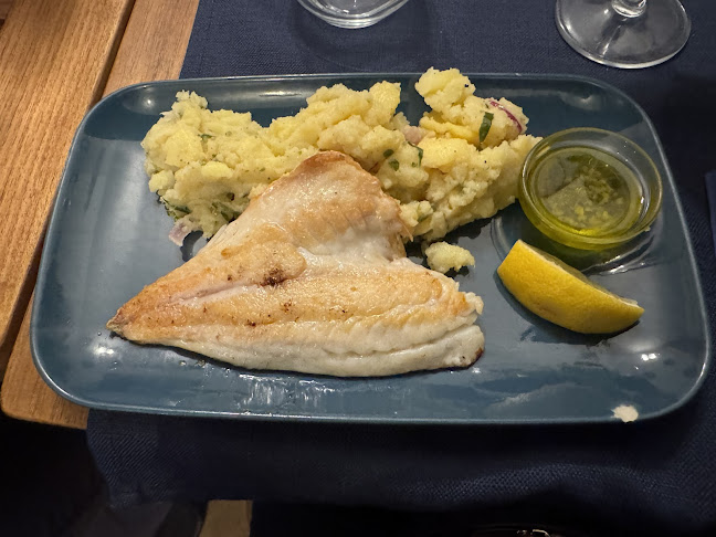 Vino & Ribe - Gastronomija in gostinstvo