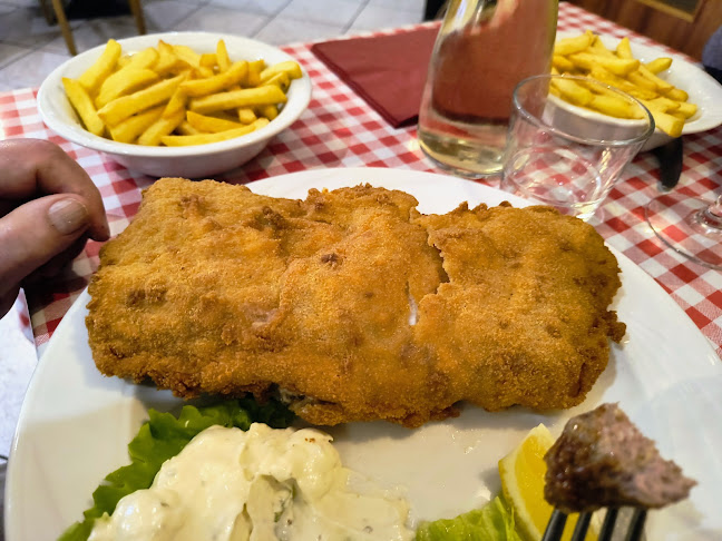 Comentarii opinii despre Roštilj