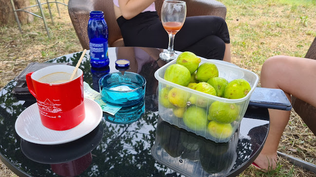 Comentarii opinii despre Bella Vista