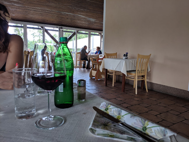 Comentarii opinii despre Ob kaminu