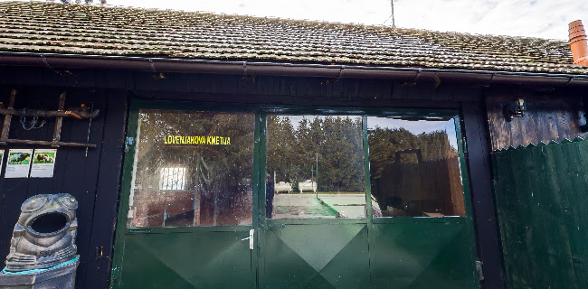 Comentarii opinii despre Gostilna Lovenjak