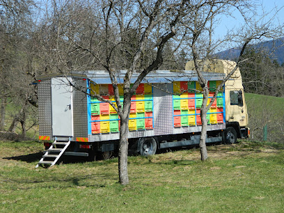 Bar Glavar, Angela Pečovnik s.p.