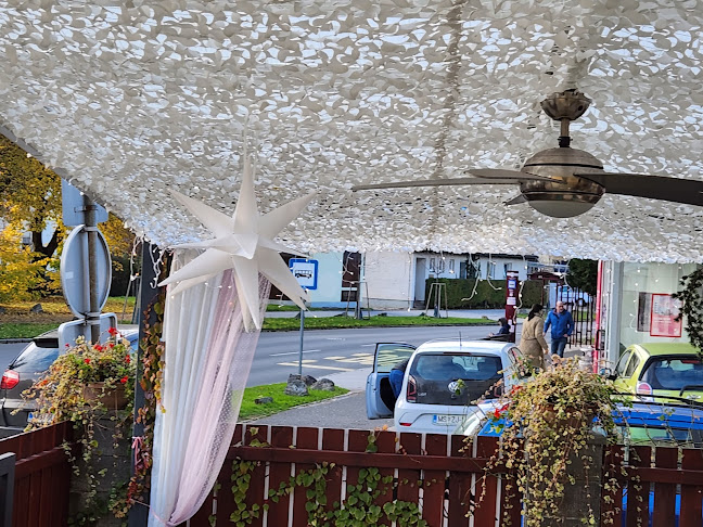 Mladinska ulica 54, 2000 Maribor