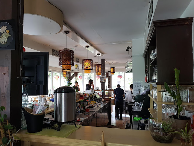 Beli labod - Ljubljana