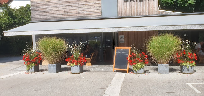 OKREPČEVALNICA ORIENT, SELITO d.o.o.